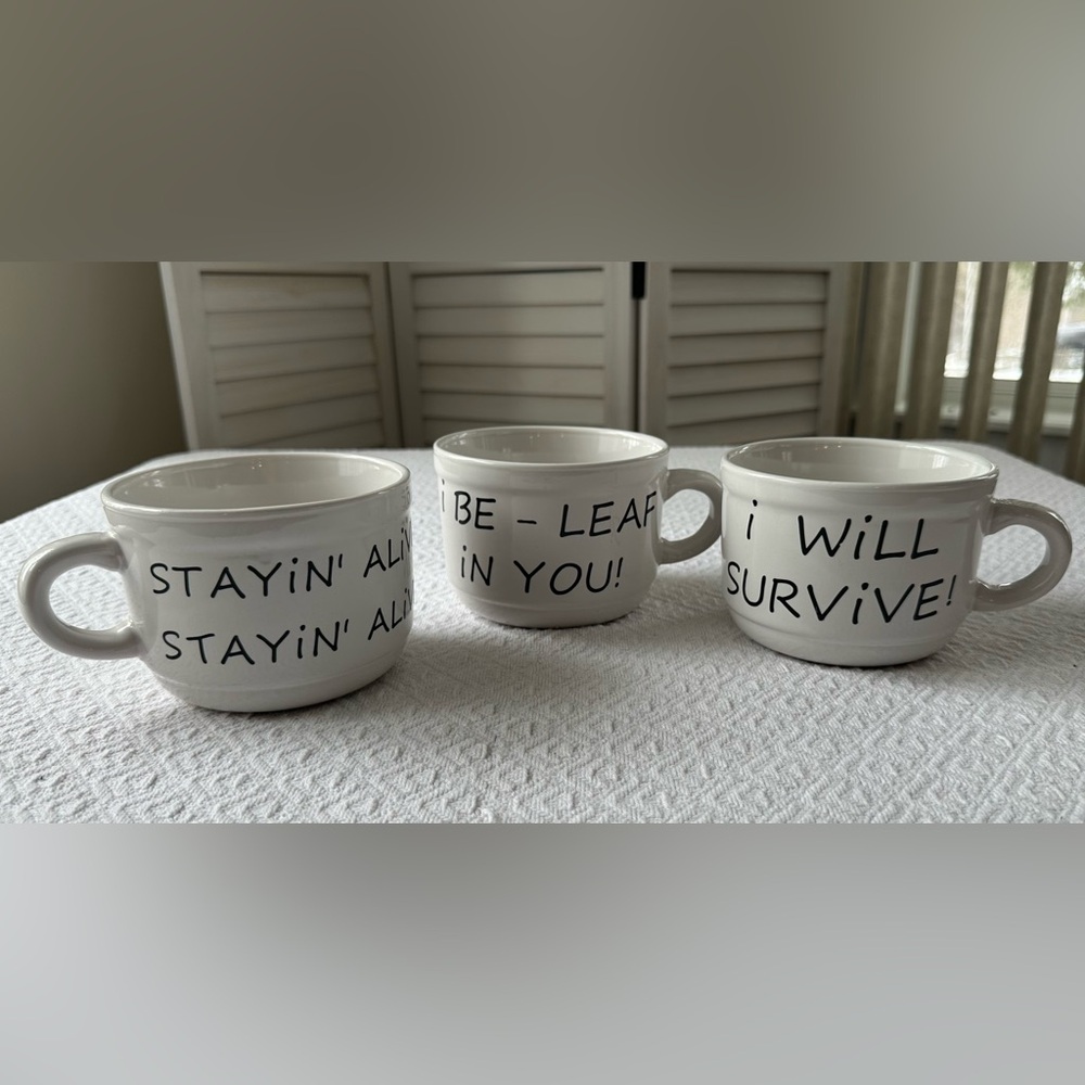 White Ceramic Planter Mugs with Funny / Cute Song Lyrics